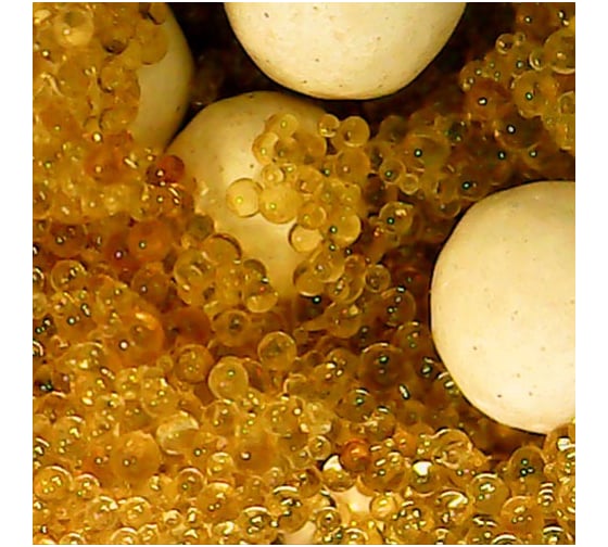 Изображение товара Ионообменная смола микс Ecvols SoftEx B+ 5 л 00.00010843