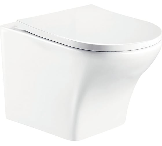 Изображение товара Подвесной унитаз WeltWasser WW ODENBACH белый глянец 004 GL-WT 10000003704
