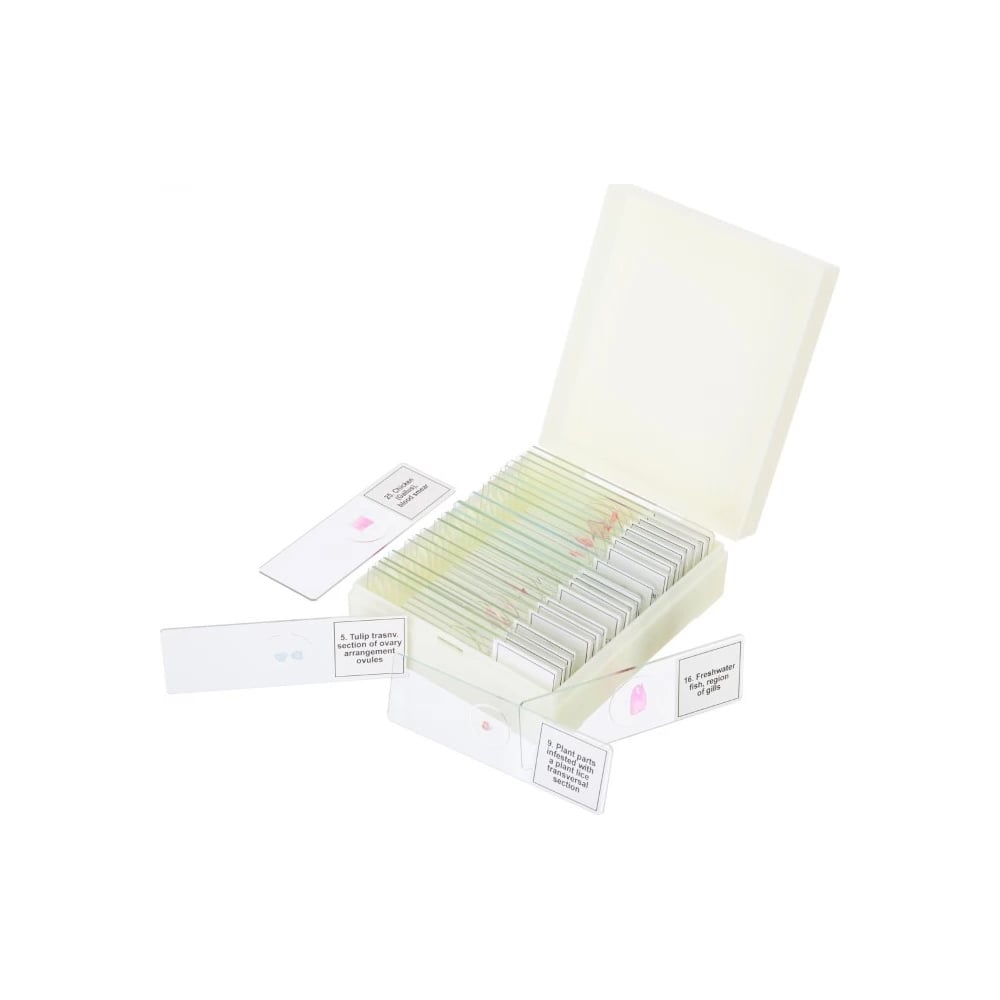 Изображение товара Набор микропрепаратов Levenhuk Discovery Prof DPS 25 для биологии и изучения природы