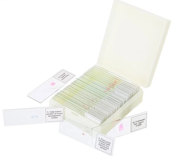 Изображение товара Набор микропрепаратов Levenhuk Discovery Prof DPS 25. «Биология, Птицы и др.» 78415