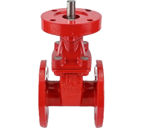 Изображение товара Задвижка клиновая DN.ru 30ч939р Ду65 Ру16 под электропривод, цвет - красный D040-00701