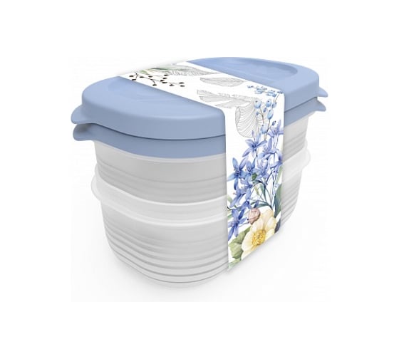 Изображение товара Набор контейнеров Полимербыт Цветущий сад 2 шт, 0,65 л 436392800