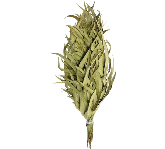 Изображение товара Веник эвкалиптовый ГлавБаня Оригинальный Б192