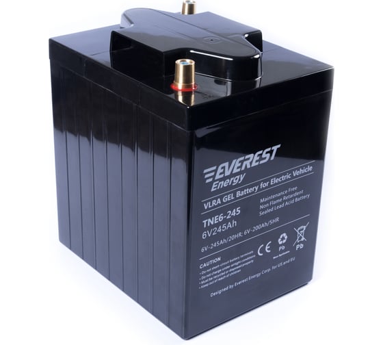 Изображение товара Тяговая аккумуляторная батарея EVEREST Energy TNE 6-245