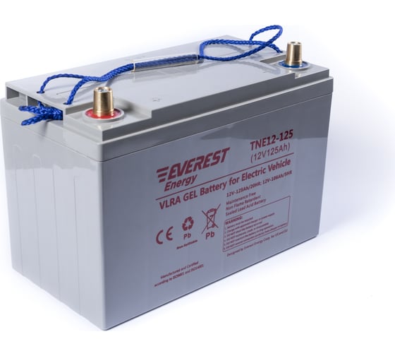 Изображение товара Тяговая аккумуляторная батарея EVEREST Energy TNE 12-125