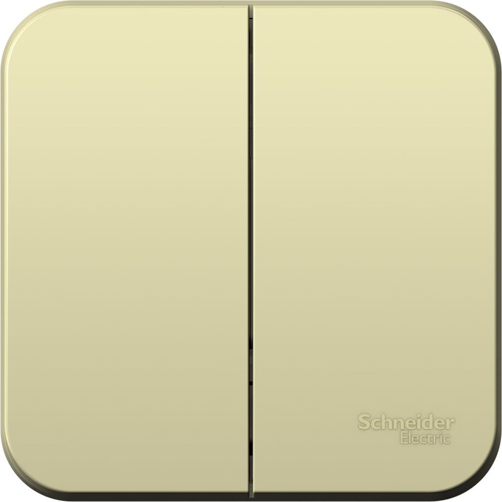 Изображение товара 2-клавишный выключатель Systeme Electric Blanca 10А IP20 бежевый