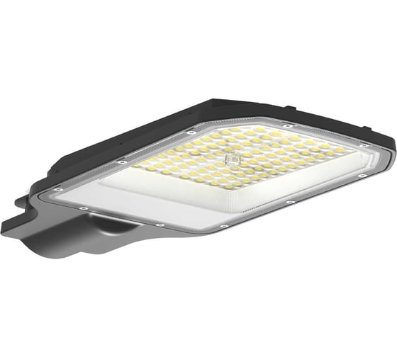 Изображение товара Светильник уличный линзованный светодиодный Neox ДКУ-2L 50Вт 230В 5000К 6250Лм 125лм/Вт 42-48мм IP65 4690612057071