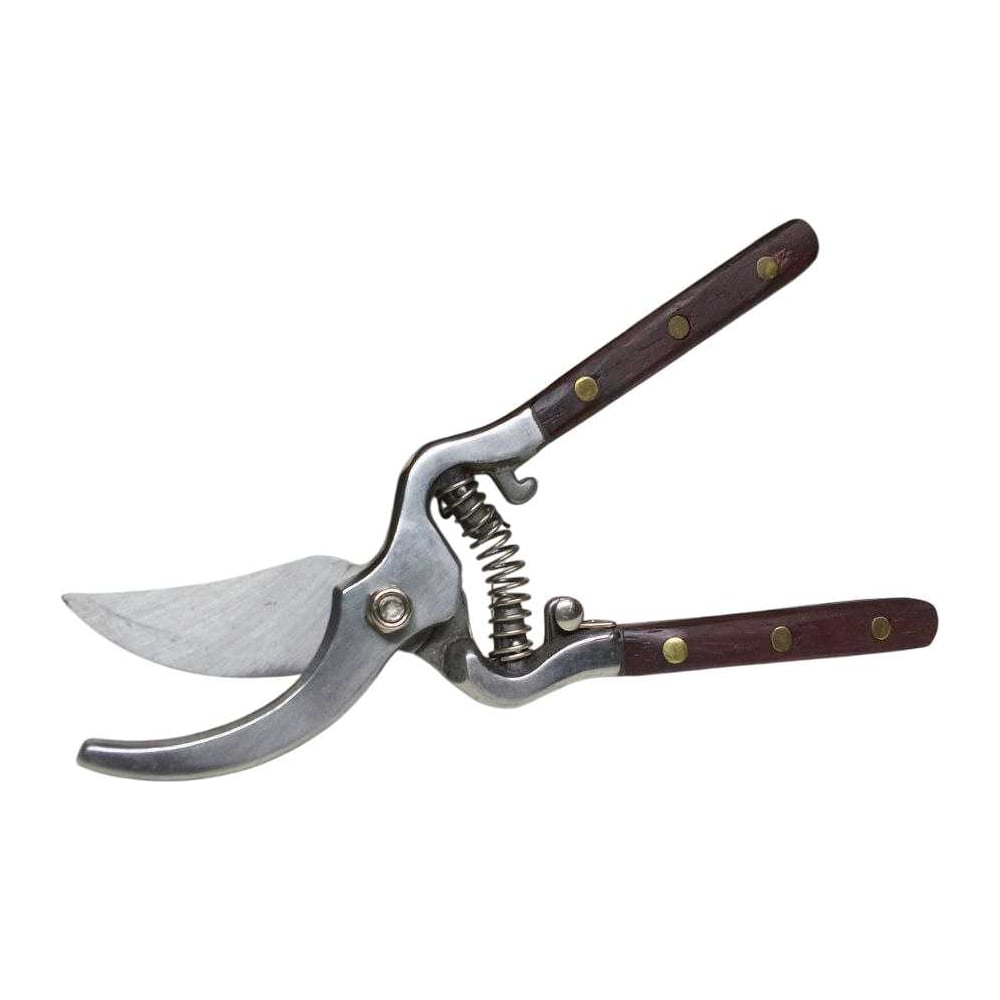 Изображение товара Профессиональные садовые секаторы WYNNS Tools 200мм W866 для обрезки веток и кустарников