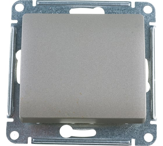 Изображение товара 1-клавишный механизм выключателя Systeme Electric скрытой проводки Glossa 10А IP20 1 10AX платина GSL001211