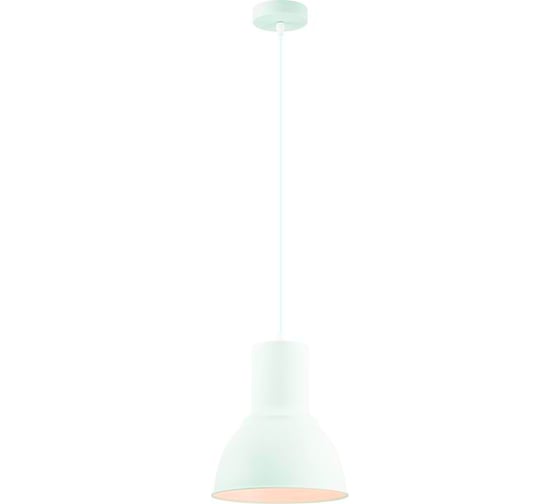 Изображение товара Подвес ODEON LIGHT LASO металл, E27, 60W 3374/1