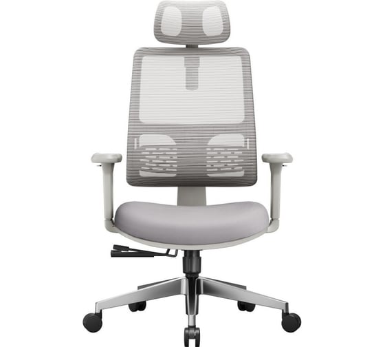 Изображение товара Эргономичное компьютерное кресло FoxGear NETZ модель E, серый FG-NETZ-E-GY