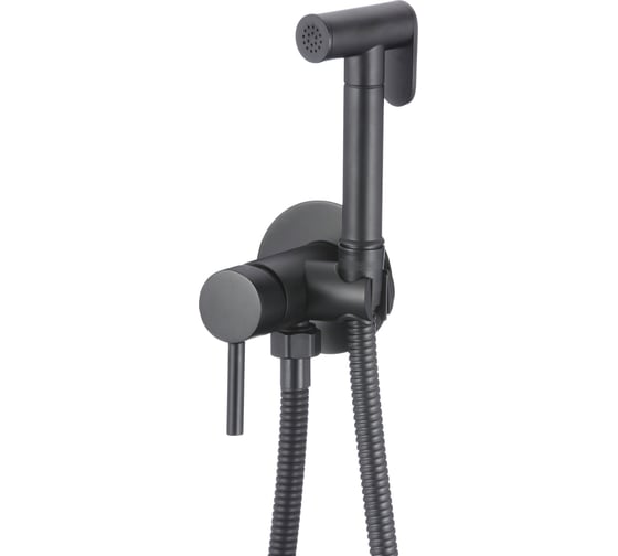 Изображение товара Смеситель с гигиеническим душем D-Lin черный D183202-A