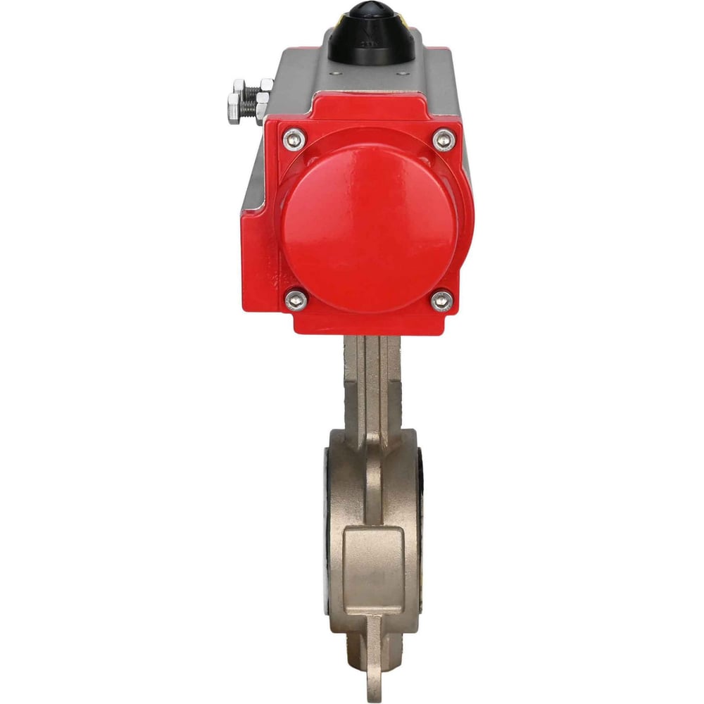 Дисковые затворы  Все инструменты Дисковый затвор DN.ru 316l-316l-ptfe D050-01746