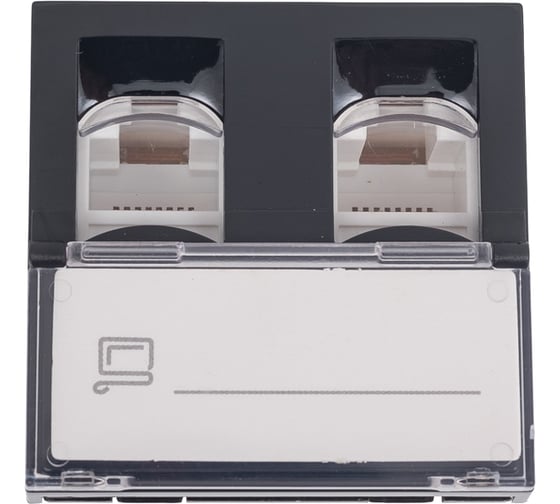 Изображение товара Розетка модульная двойная компьютерная Рувинил RJ-45, 45x45мм, черная, 10 шт АДЛ 13-913-Ч