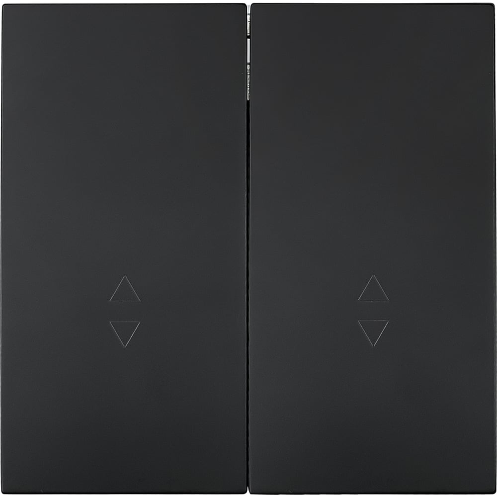 Изображение товара Выключатель проходной Lezard ZIMA 2-клавишный черный бархат IP20