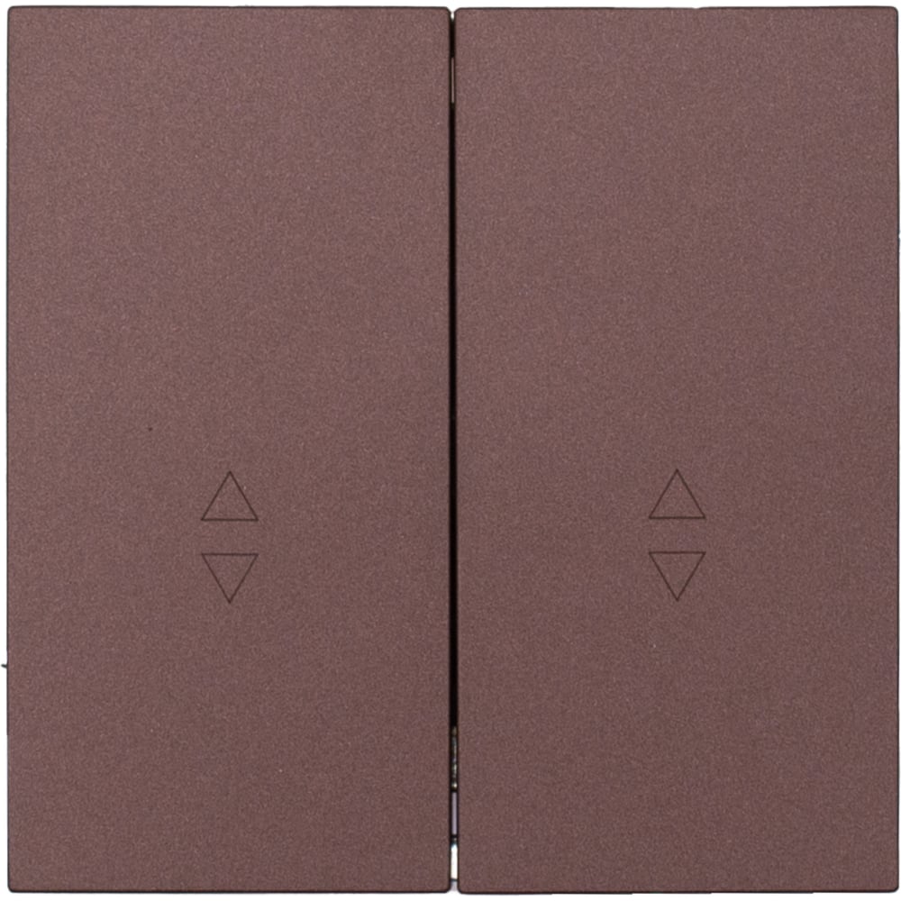 Изображение товара Выключатель Lezard ZIMA проходной второй шоколад 2 клавиши IP20