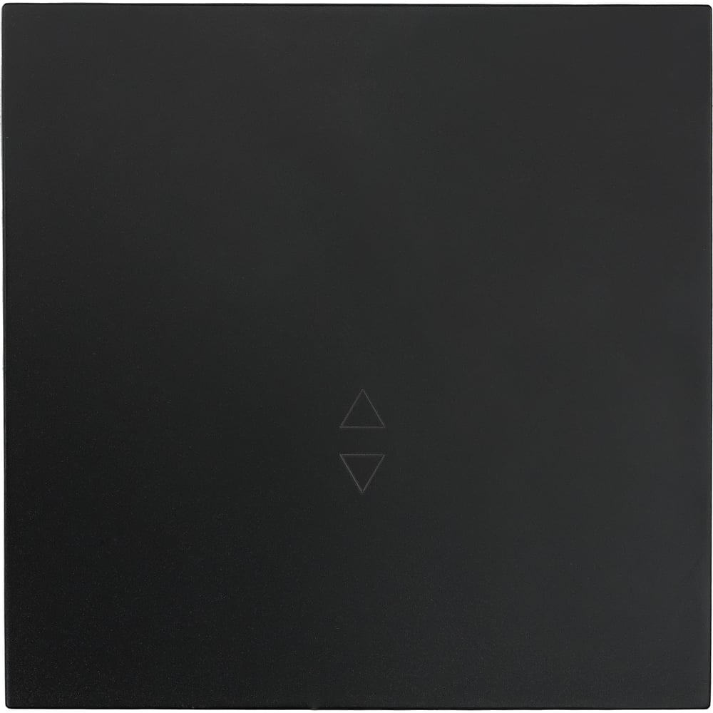 Изображение товара Выключатель Lezard ZIMA проходной черный бархат безвинтовой зажим/клемма 704-4288-105QC