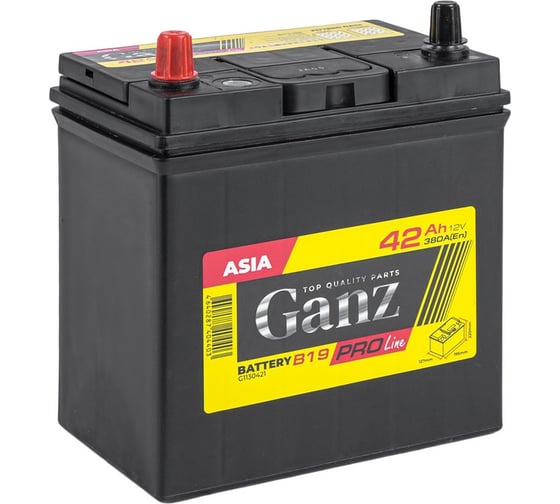 Изображение товара Аккумулятор Ganz PRO-Line JIS 42 А/ч прямой L+ 195x127x220 B19 EN 380 А G1130421