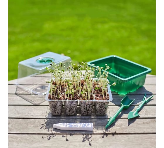 Изображение товара Набор Фарлайт из 5 шт мини-теплиц для рассады со светодиодной подсветкой 5 уровней освещенности с таймером 4/8/12/18 ч FAR002460