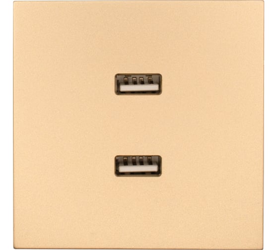Изображение товара Розетка 2-ая USB разъем Lezard ZIMA золото 704-3688-192