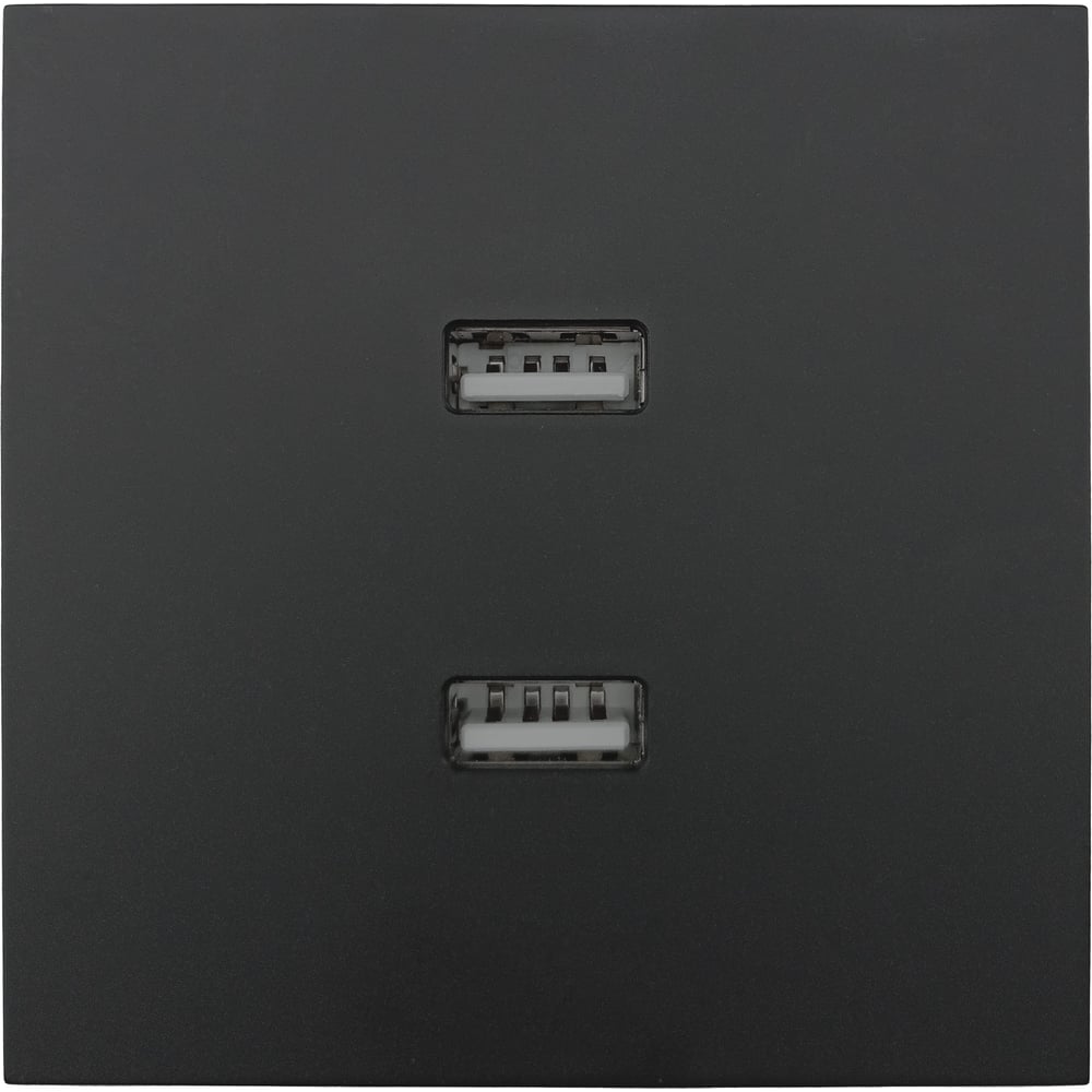 Изображение товара Розетка 2-ая USB разъем Lezard ZIMA черный бархат 704-4288-192