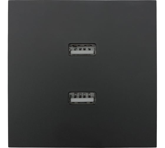 Изображение товара Розетка 2-ая USB разъем Lezard ZIMA черный бархат 704-4288-192