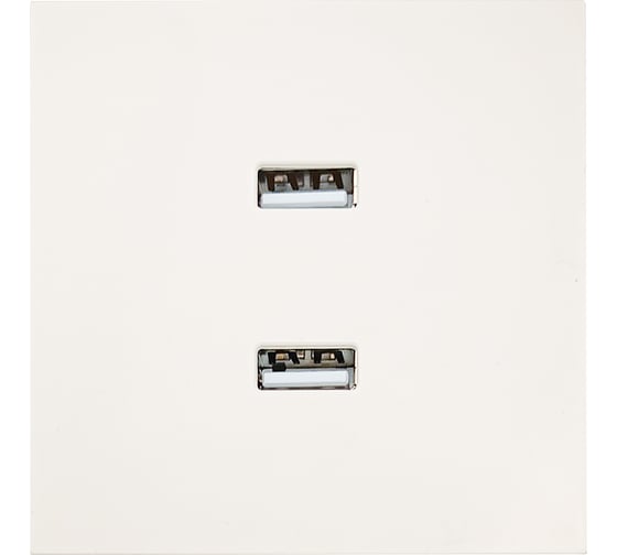 Изображение товара Розетка 2-ая USB разъем Lezard ZIMA слоновая кость 704-9088-192