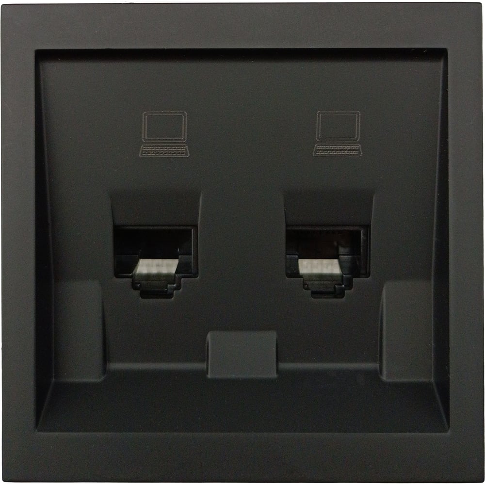 Изображение товара Розетка компьютерная Lezard ZIMA черный бархат 2-поста IP20 для встраивания