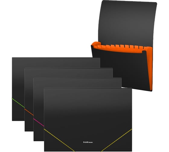 Изображение товара Папка-картотека ErichKrause Matt Accent пластиковая, с 13 отделениями, A4, ассорти (в пакете по 4 шт) 50425