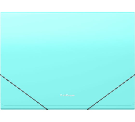 Изображение товара Пластиковая папка-картотека ErichKrause Diagonal Pastel с 13 отделениями, A4, ассорти (в пакете по 4 шт) 61212