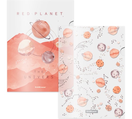 Изображение товара Набор из 4 папок-уголков пластиковых ErichKrause Martian Girl, A4, ассорти 55103