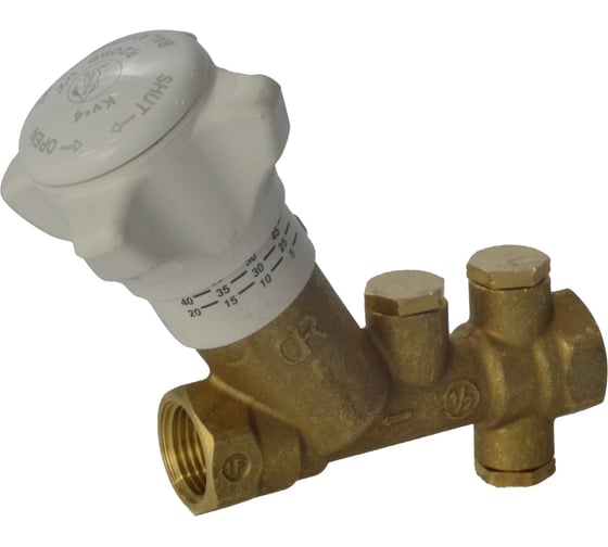 Изображение товара Клапан Giacomini R206B, DN-32, 1 1/4, ВВ, PN, бар-25, без измерительных штуцеров, со сливом R206BY016 022-1541