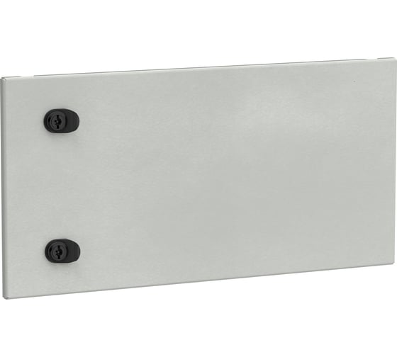 Изображение товара Дверь секционная внешняя IEK FORMAT 300x600 FO-00-ESD-030-060