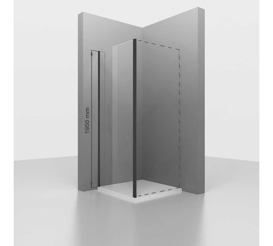 Изображение товара Боковая панель RGW 80*195 Z-050-2-B Чёрный/Прозрачное/6 мм 352205208-14