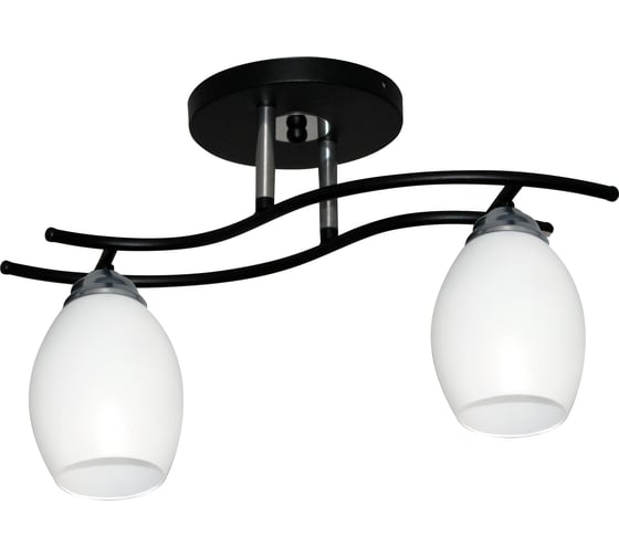 Изображение товара Светильник потолочный ЭЛЕТЕХ Стиль 121 черн.(Плафон 8368) НПБ 01-2x60-123 Е27 _ИМ_ 1005405415