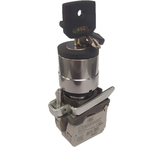 Изображение товара Переключатель Briswik КПЕ 1511 -КС черный 1но+1нз Ключ с фикс 2-поз IP54 aD-YB-4Ai-0121