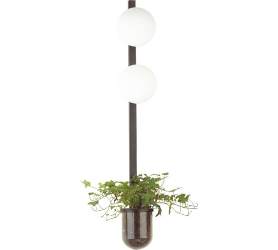 Изображение товара Настенный светильник ODEON LIGHT FLOWER стекло, E14, 2х40W 4681/2WA