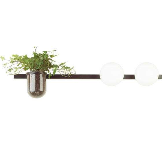 Изображение товара Настенный светильник ODEON LIGHT FLOWER стекло, E14, 2х40W 4681/2W