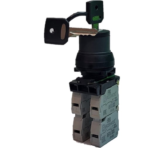 Изображение товара Переключатель Briswik ПЕ 172/3м черный 2но+2нз Ключ с фикс 2-поз, во вкл. сост. не вынимается IP40 УХЛ3 10А aZ-YB-0Ai-0143