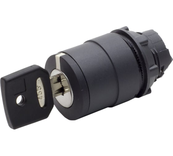 Изображение товара Головка для переключателя Briswik КПЕ 36К IP65 22 мм 2 позиции с ключем с возвратом ZB5EG4.BR