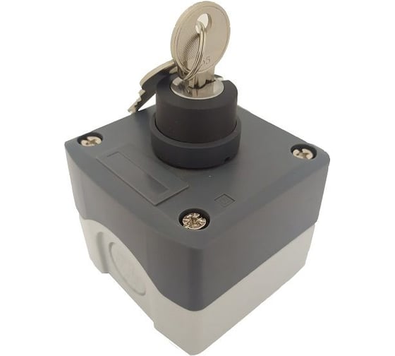 Изображение товара Пульт Briswik ПКУ21Е-111-65 УХЛ2 КПЕ4610К, табл, без сальников XALD142.BR