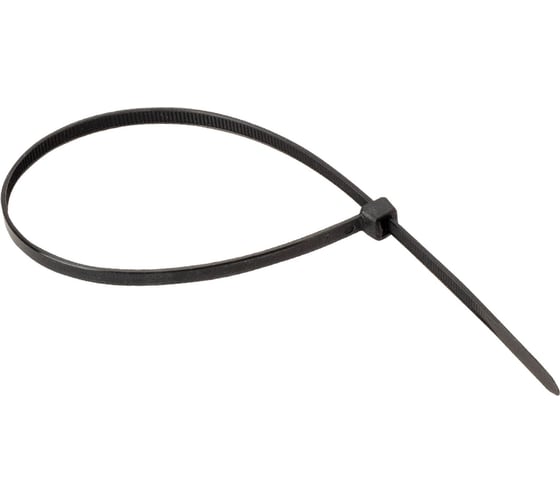 Изображение товара Стяжки для кабелей нейлоновые AurA 2,5x100мм. (100шт.), черные ACT-S100