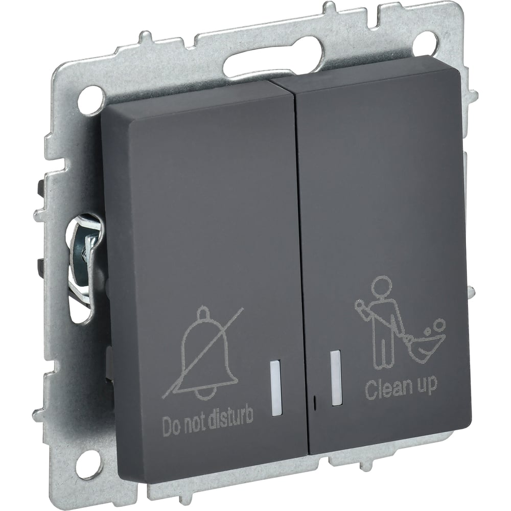 Изображение товара Выключатель 2-клавишный IEK BRITE с индикацией графит