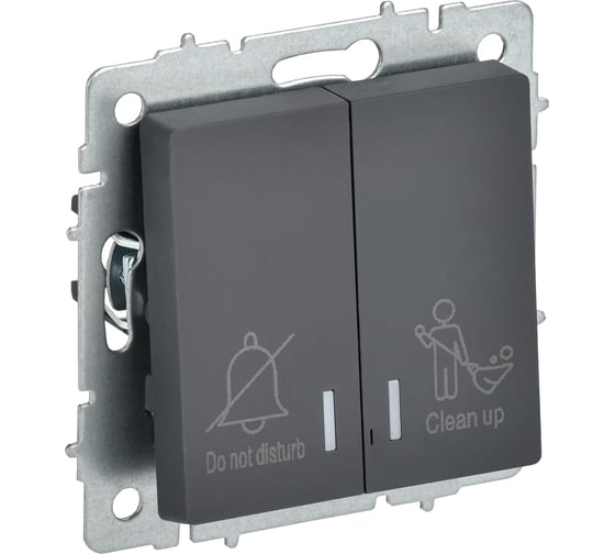 Изображение товара Выключатель 2-клавишный IEK BRITE с индикацией, для отелей, 10А, ВС10-2-9-БрГ графит BR-V20-2-10-K53