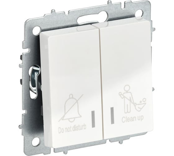 Изображение товара Выключатель 2-клавишный IEK BRITE с индикацией, для отелей, 10А, ВС10-2-9-БрБ белый BR-V20-2-10-K01