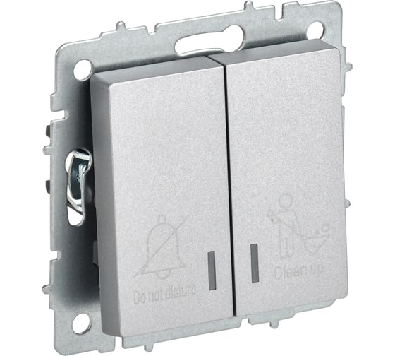 Изображение товара Выключатель 2-клавишный IEK BRITE с индикацией, для отелей, 10А, ВС10-2-9-БрА алюминий BR-V20-2-10-K47