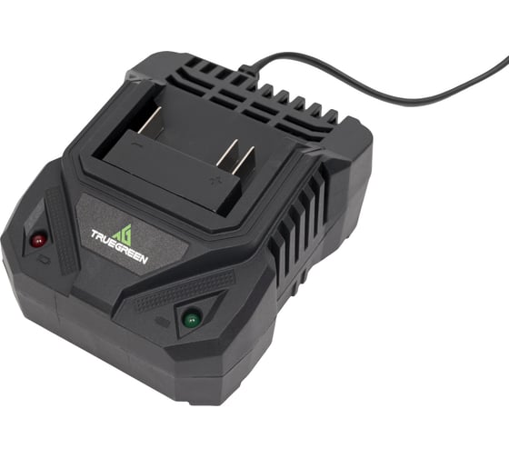 Изображение товара Зарядное устройство TRUEGREEN TG8M248