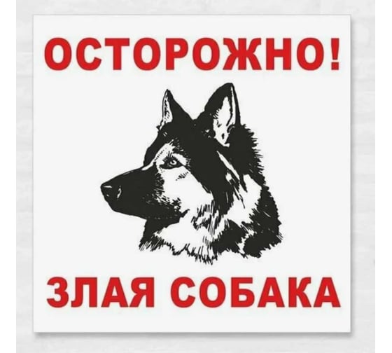 Изображение товара Знак ООО ПК "МАГИСТРАЛЬ" Осторожно, злая собака ПВХ 200*200 мм экосольвентная печать 4687206375864