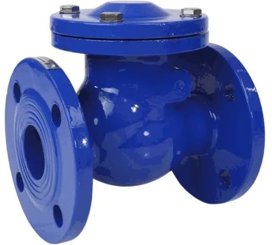 Изображение товара Клапан обратный поворотный Benarmo чугунный, Ду50, Ру10/16, фланцевое присоединение, диск чуг 019-2735