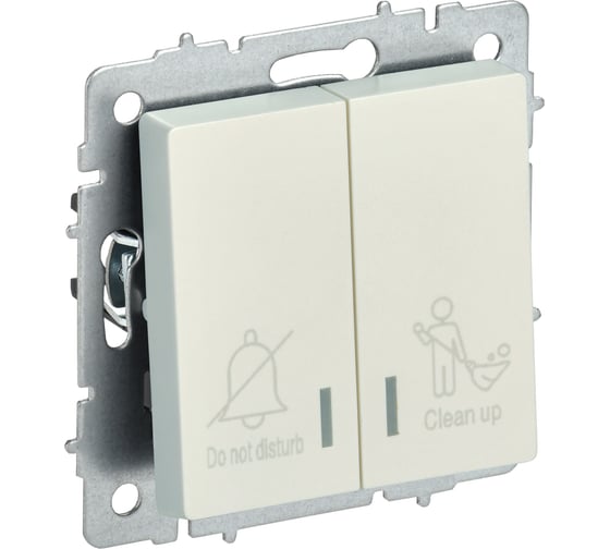 Изображение товара Выключатель 2-клавишный IEK BRITE с индикацией, для отелей, 10А, ВС10-2-9-БрЖ жемчуг BR-V20-2-10-K36